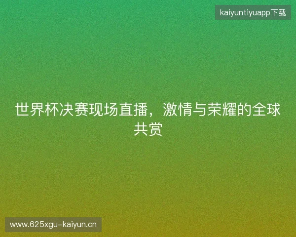世界杯决赛现场直播，激情与荣耀的全球共赏